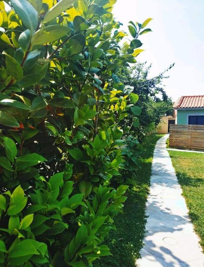 Casas Do Paco - Casas De Ferias Cabeceiras de Basto ภายนอก รูปภาพ