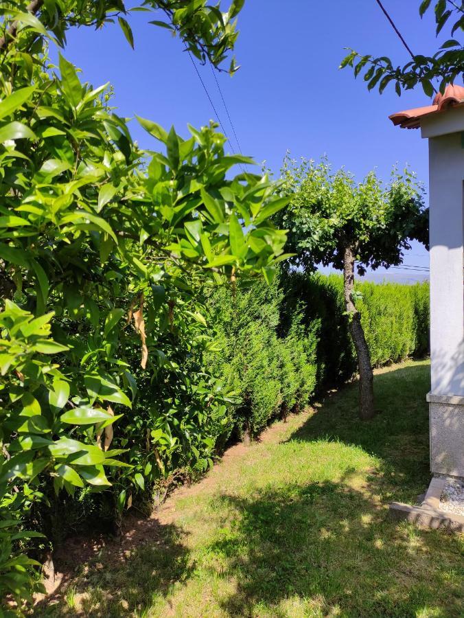 Casas Do Paco - Casas De Ferias Cabeceiras de Basto ภายนอก รูปภาพ