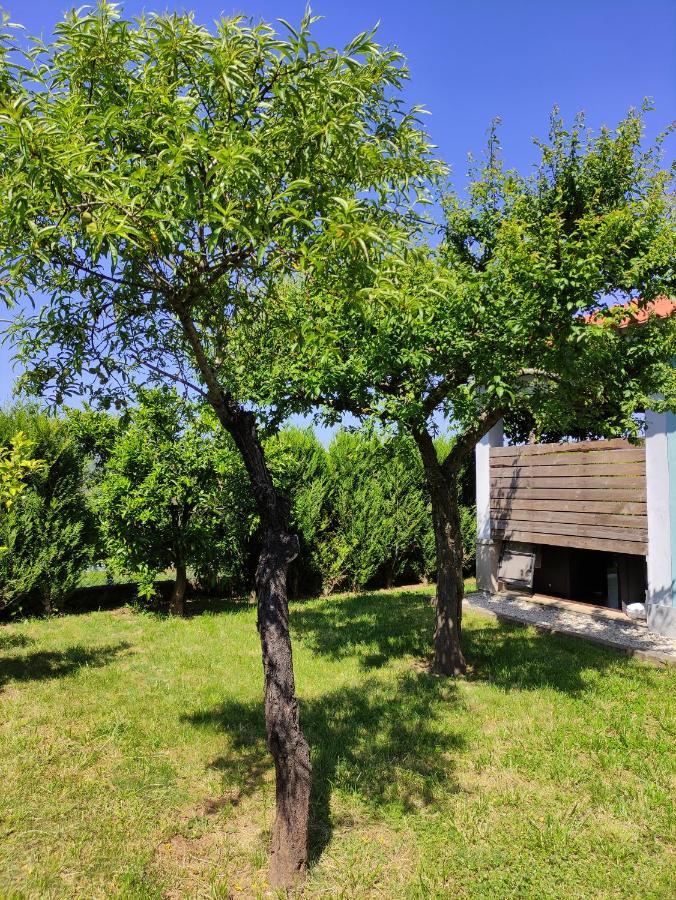 Casas Do Paco - Casas De Ferias Cabeceiras de Basto ภายนอก รูปภาพ