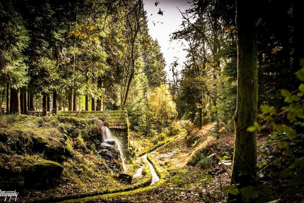 Casas Do Paco - Casas De Ferias Cabeceiras de Basto ภายนอก รูปภาพ